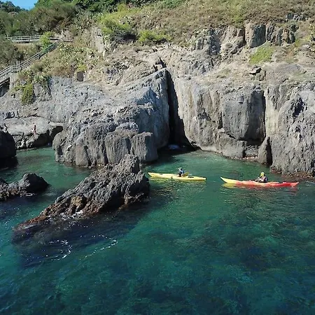 T2 Au Calme-vue Et Baie De Collioure-garage 科利尤尔
