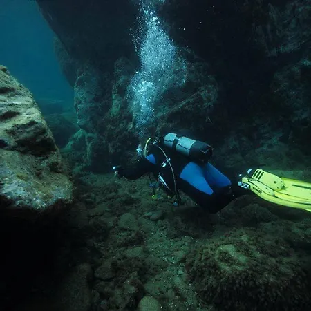 T2 Au Calme-vue Et Baie De Collioure-garage 公寓 *