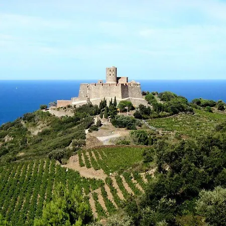 T2 Au Calme-vue Et Baie De Collioure-garage 公寓