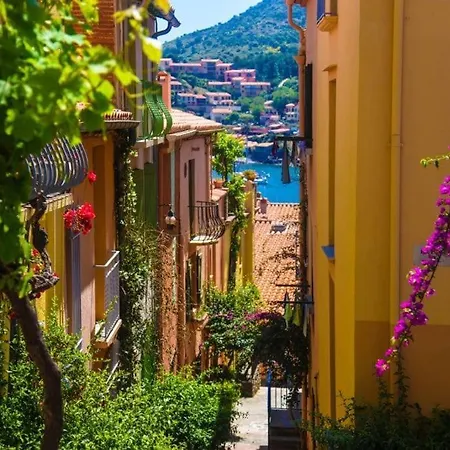 T2 Au Calme-vue Et Baie De Collioure-garage * 科利尤尔