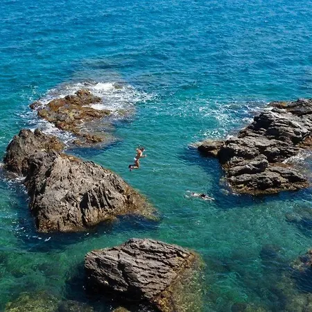 T2 Au Calme-vue Et Baie De Collioure-garage 公寓 科利尤尔